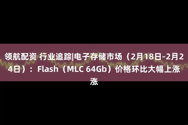 领航配资 行业追踪|电子存储市场（2月18日-2月24日）：Flash（MLC 64Gb）价格环比大幅上涨