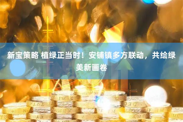 新宝策略 植绿正当时！安铺镇多方联动，共绘绿美新画卷