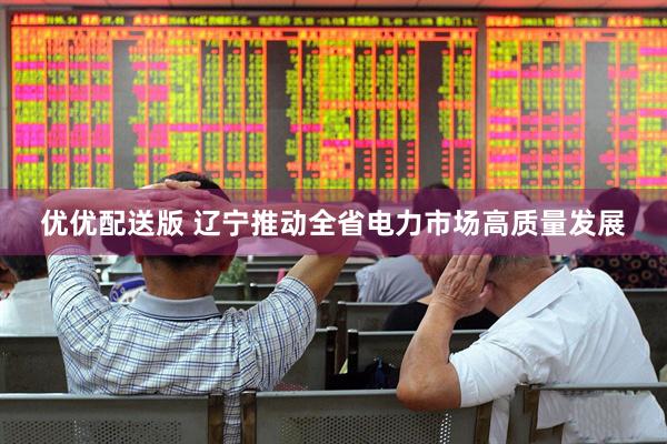 优优配送版 辽宁推动全省电力市场高质量发展