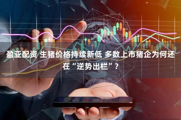 盈亚配资 生猪价格持续新低 多数上市猪企为何还在“逆势出栏”？