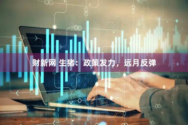 财新网 生猪：政策发力，远月反弹