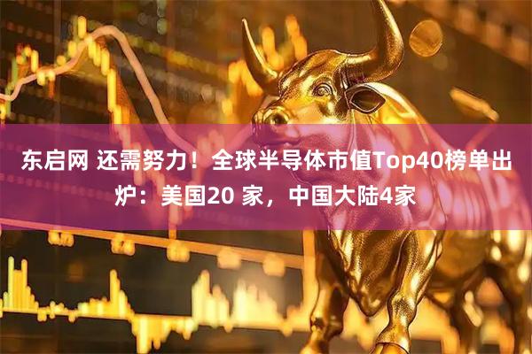 东启网 还需努力！全球半导体市值Top40榜单出炉：美国20 家，中国大陆4家
