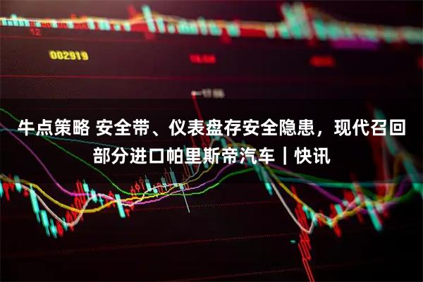 牛点策略 安全带、仪表盘存安全隐患，现代召回部分进口帕里斯帝汽车｜快讯