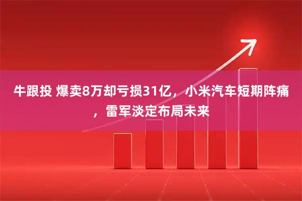 牛跟投 爆卖8万却亏损31亿，小米汽车短期阵痛，雷军淡定布局未来