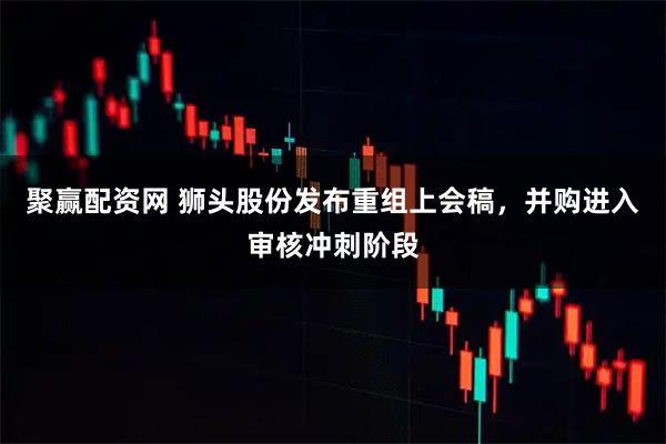 聚赢配资网 狮头股份发布重组上会稿，并购进入审核冲刺阶段