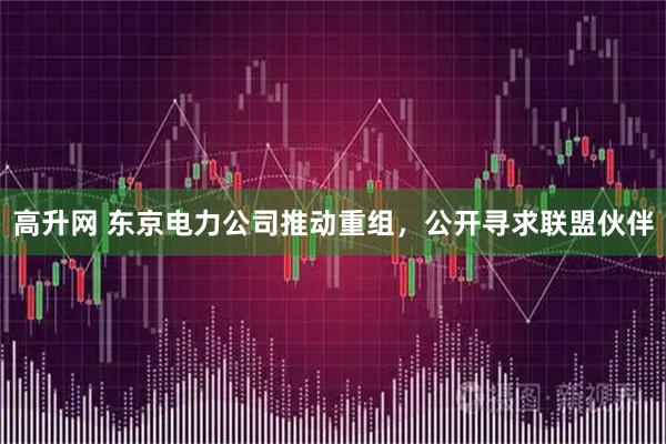 高升网 东京电力公司推动重组，公开寻求联盟伙伴