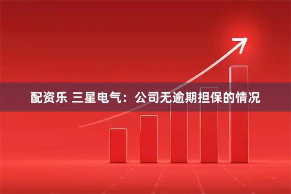 配资乐 三星电气：公司无逾期担保的情况