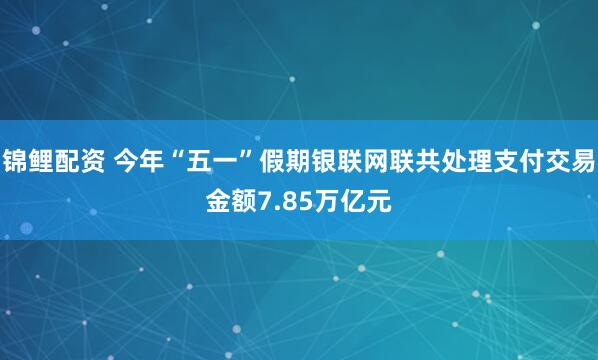 锦鲤配资 今年“五一”假期银联网联共处理支付交易金额7.85万亿元