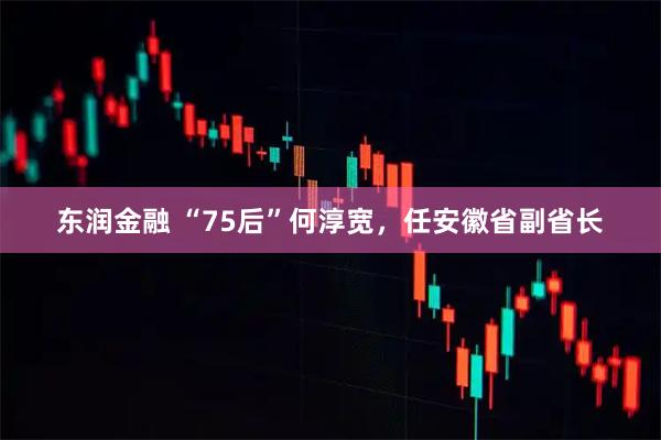 东润金融 “75后”何淳宽，任安徽省副省长