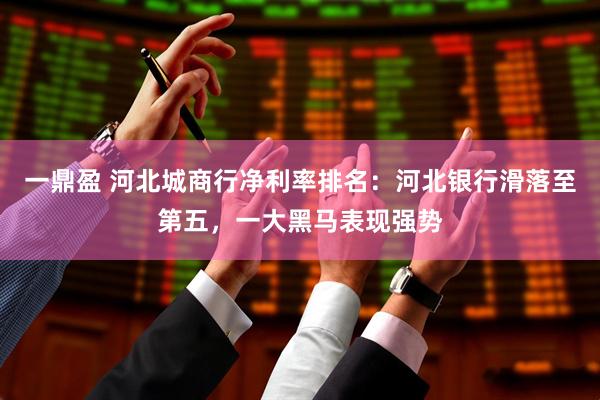 一鼎盈 河北城商行净利率排名：河北银行滑落至第五，一大黑马表现强势