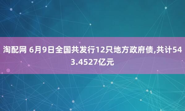 淘配网 6月9日全国共发行12只地方政府债,共计543.4527亿元