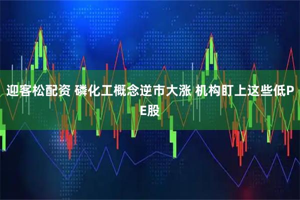 迎客松配资 磷化工概念逆市大涨 机构盯上这些低PE股