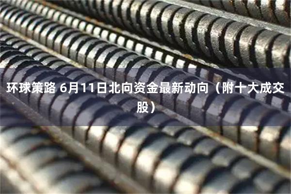 环球策路 6月11日北向资金最新动向（附十大成交股）