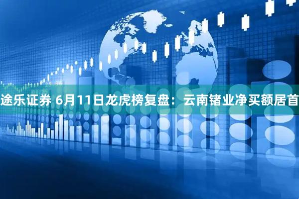 途乐证券 6月11日龙虎榜复盘：云南锗业净买额居首