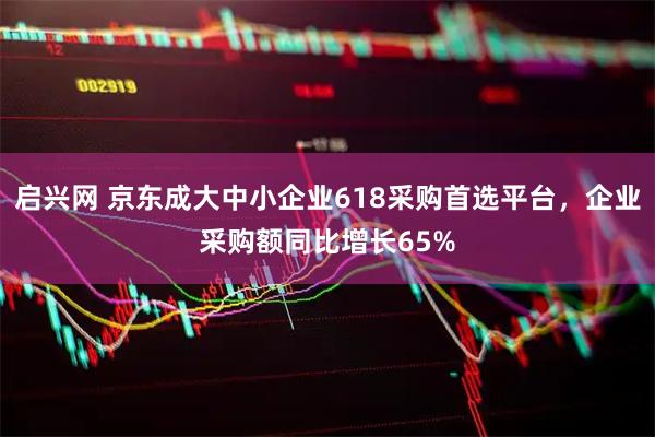 启兴网 京东成大中小企业618采购首选平台，企业采购额同比增长65%