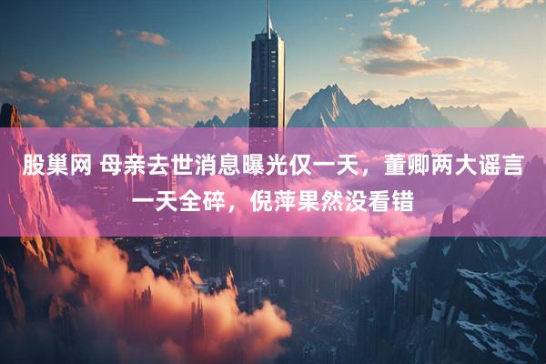 股巢网 母亲去世消息曝光仅一天，董卿两大谣言一天全碎，倪萍果然没看错