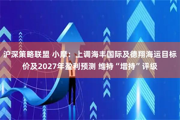 沪深策略联盟 小摩:上调海丰国际及德翔海运目标价及2027年盈利预测 维持“增持”评级