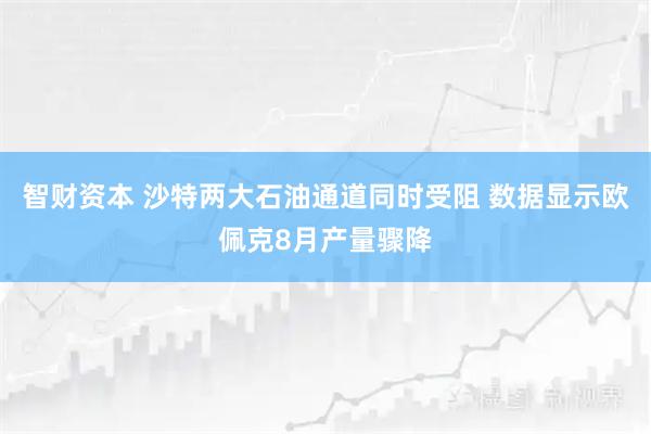 智财资本 沙特两大石油通道同时受阻 数据显示欧佩克8月产量骤降